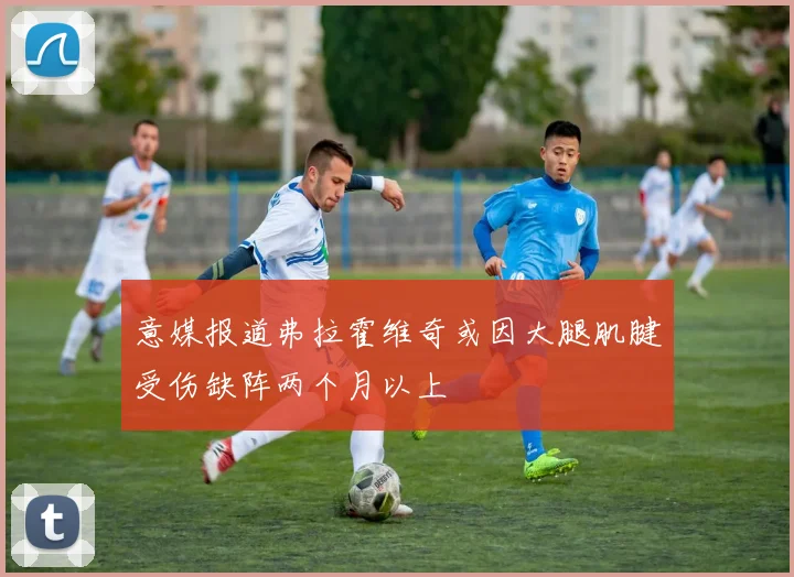 意媒报道弗拉霍维奇或因大腿肌腱受伤缺阵两个月以上