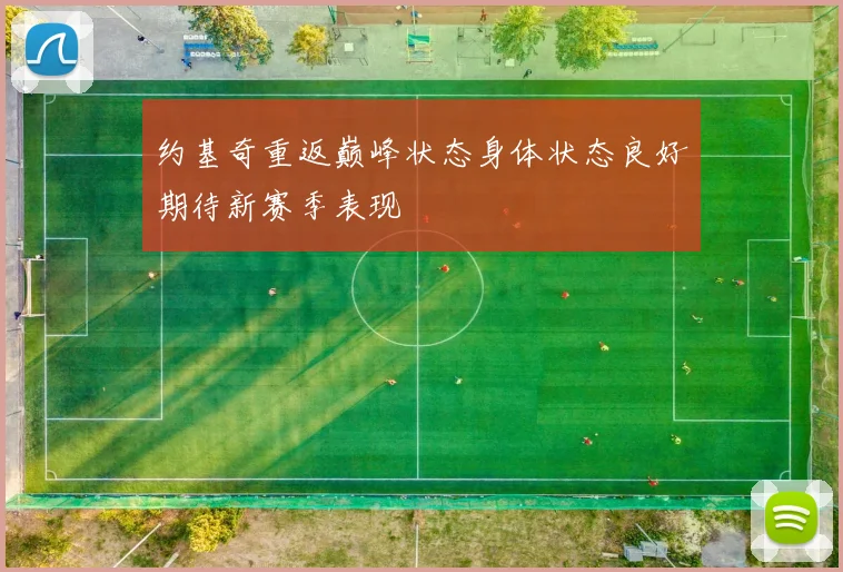 约基奇重返巅峰状态身体状态良好期待新赛季表现