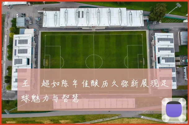 王燊超如陈年佳酿历久弥新展现足球魅力与智慧