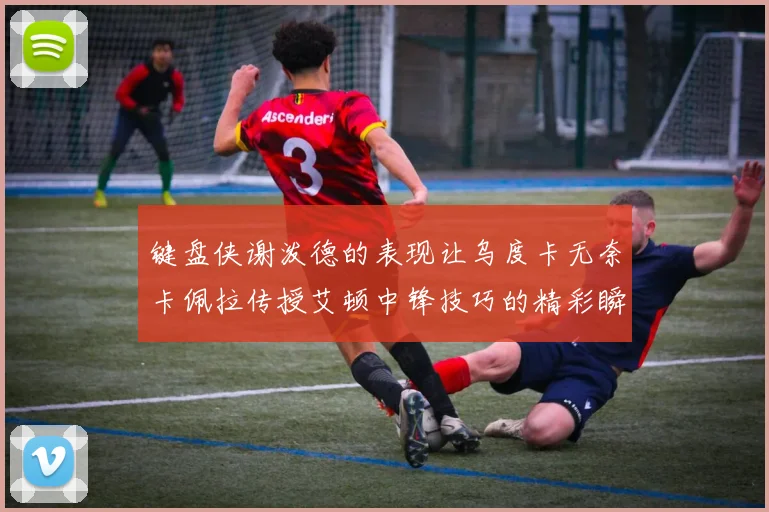 键盘侠谢泼德的表现让乌度卡无奈卡佩拉传授艾顿中锋技巧的精彩瞬间