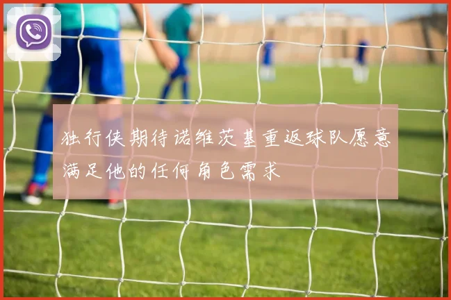独行侠期待诺维茨基重返球队愿意满足他的任何角色需求